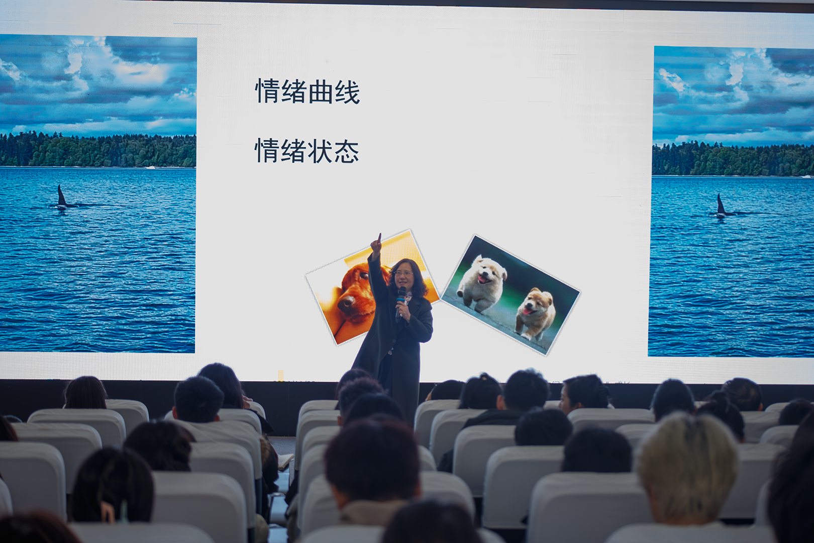 IMG_5872-已增强-NR.png