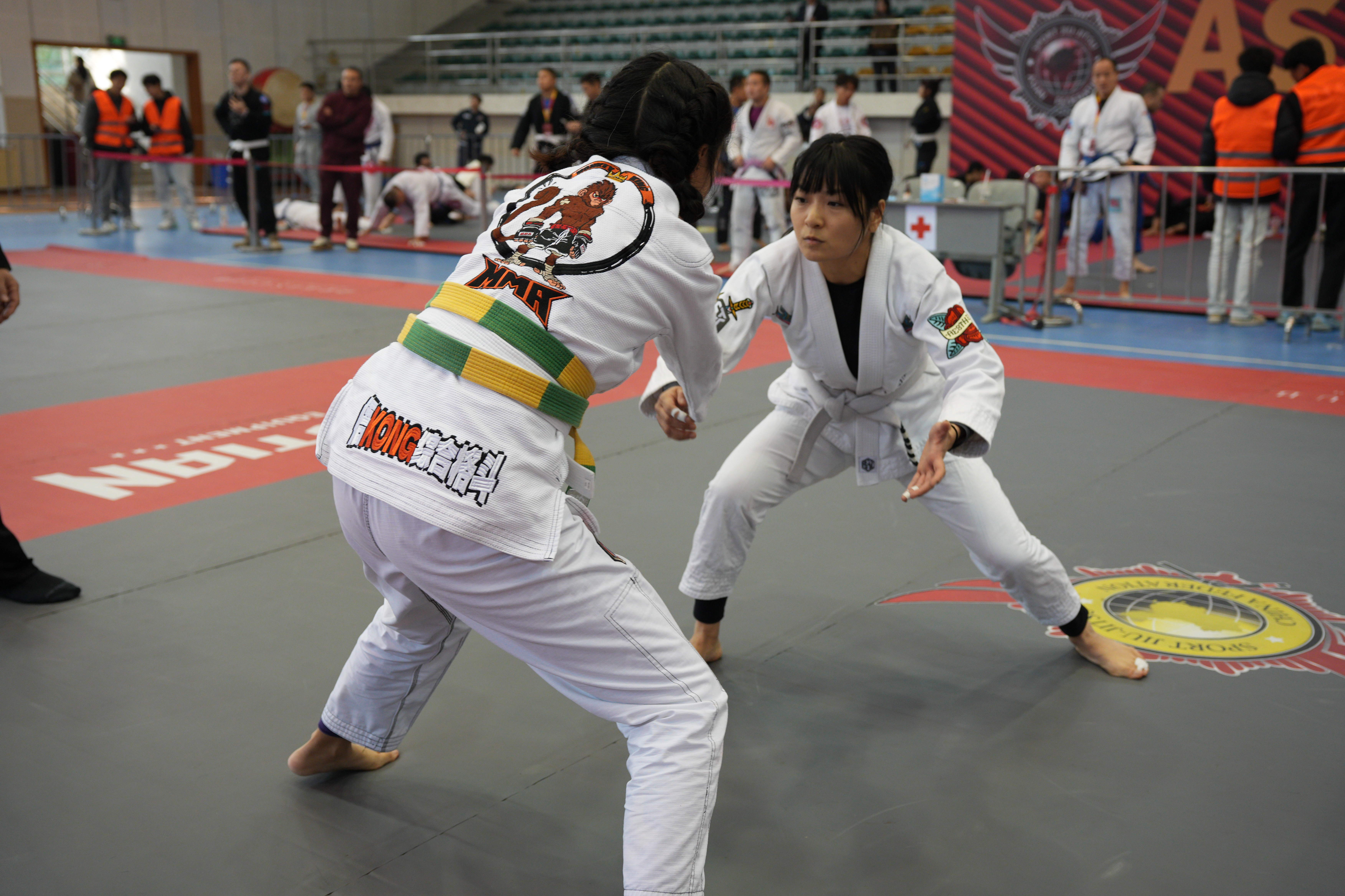 DSC03448-opq3341944001.jpg
